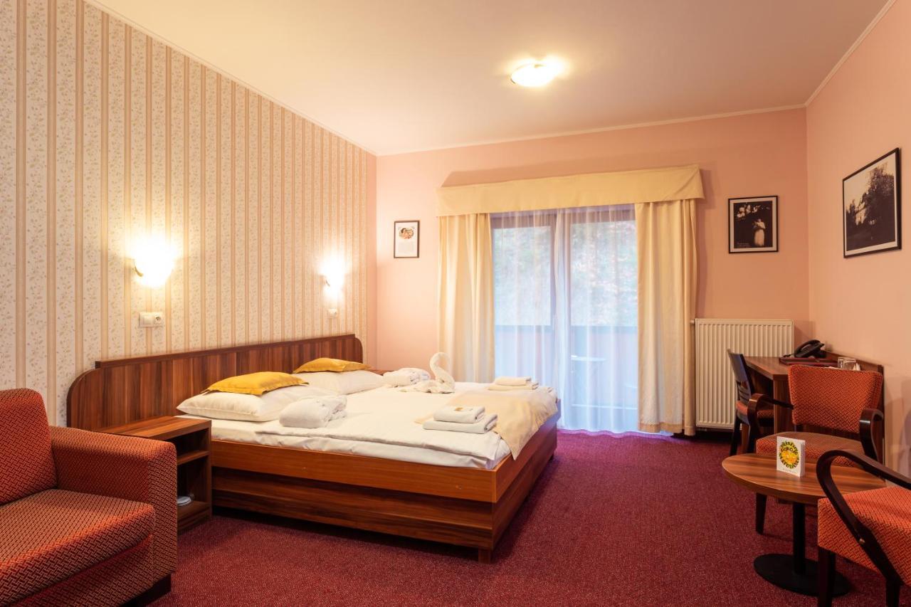 Hotel Studanka Рихнов-над-Кнежноу Экстерьер фото